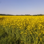 20150515_180335