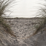 Ostseeherbst14_221